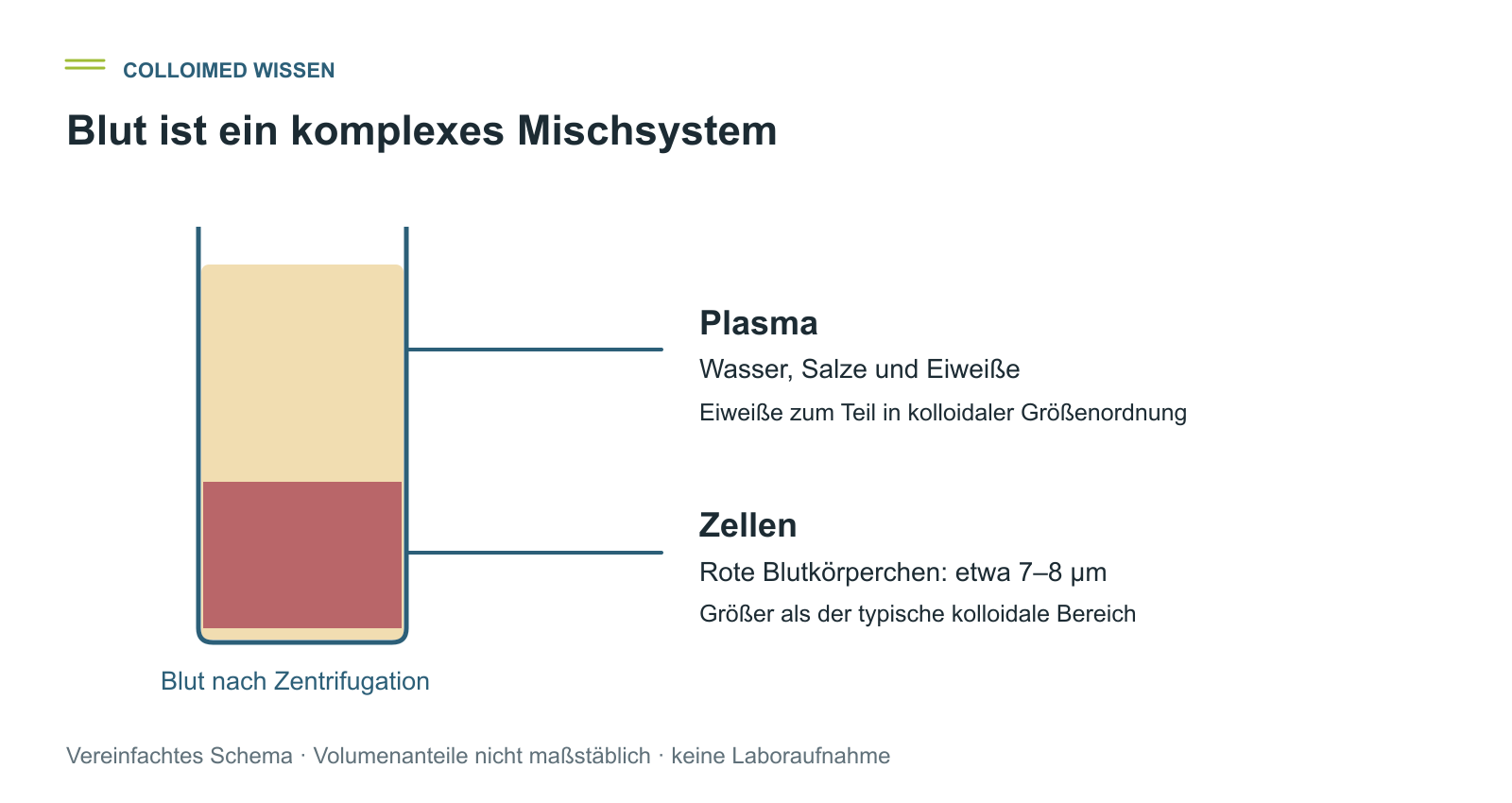Blutplasma und Blutzellen unterscheiden Schematisches Röhrchen mit Plasma und abgesetzten Blutzellen nach der Zentrifugation