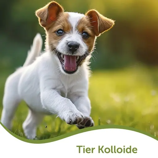 Kolloide für Tiere – kolloidale Produkte für Hunde, Katzen, Pferde und Kleintiere