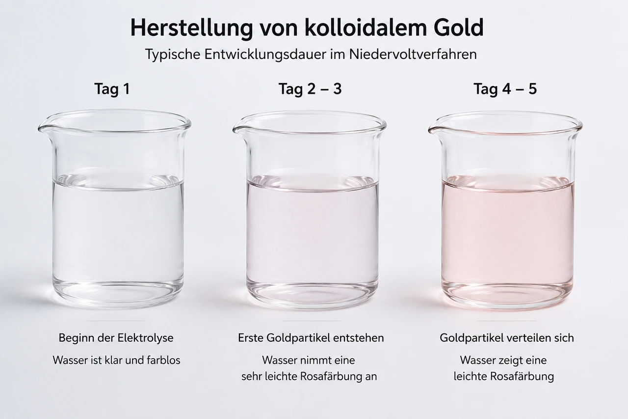 Herstellung von kolloidalem Gold im Niedervoltverfahren (3–5 Tage) Herstellung von kolloidalem Gold im Niedervoltverfahren – Entwicklung der Goldlösung von klarem Wasser bis zur leichten Rosafärbung innerhalb von 3 bis 5 Tagen.