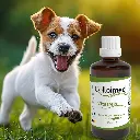 VitalMix Hundeglück - Die innovative Rezeptur für Hunde