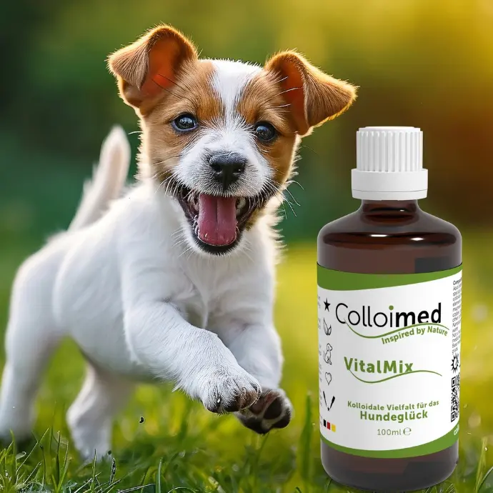 VitalMix Hundeglück - Die innovative Rezeptur für Hunde